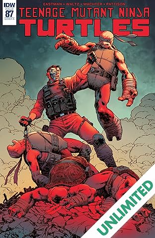 Teenage Mutant Ninja Turtles #87